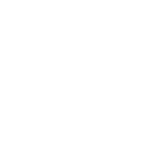 Dash circle