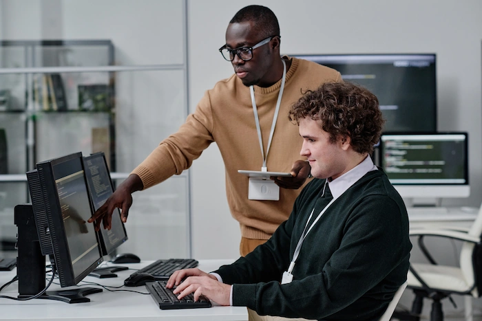 software support colleagues checking the code