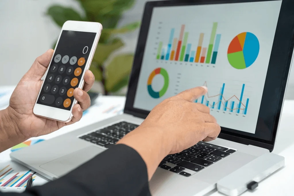 professional using accounting software at work
